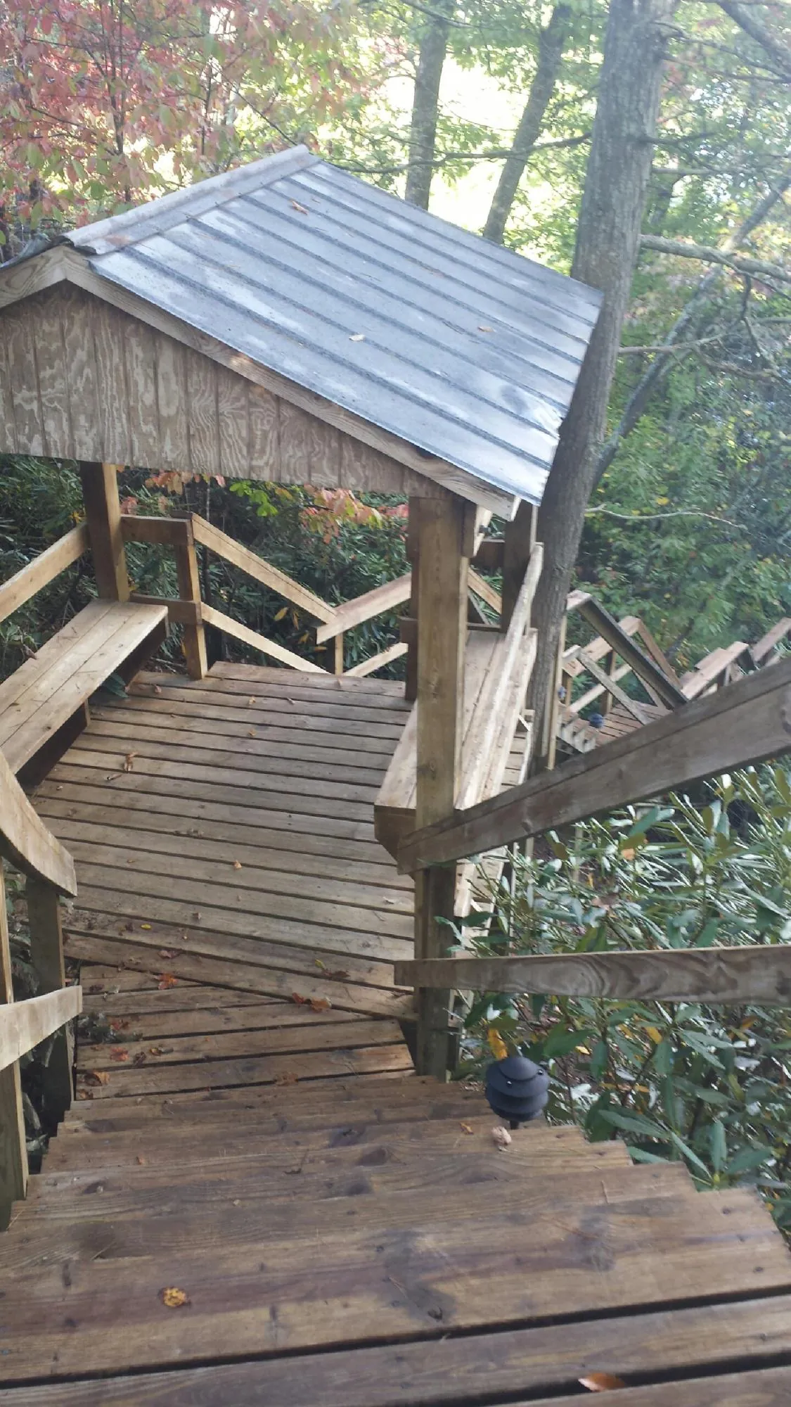 Metal roofed shelter over wooden steps on a wooded walkway — Skylight Repair & Installation work by our crew in Myrtle Creek