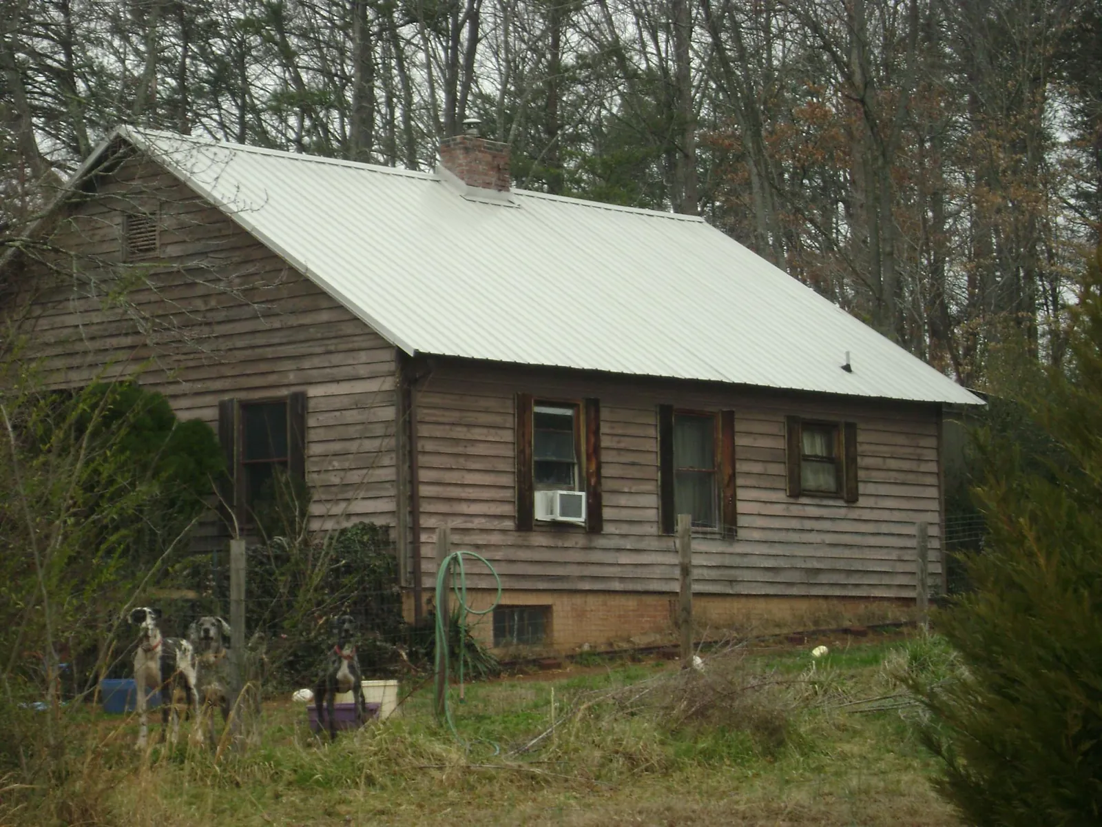 White metal roof on an old wood sided farmhouse, from a Asphalt Shingle Roof Repair job in Myrtle Creek